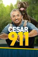 Poster of Cesar 911