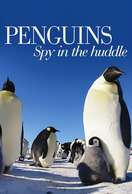 Poster of Penguins: Spy in the Huddle