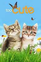 Poster of Too Cute