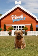 Poster of Pooch Perfect
