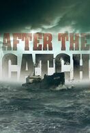 Poster of After the Catch