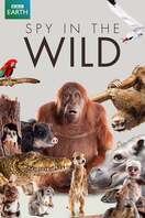 Poster of Spy in the Wild