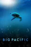 Poster of Big Pacific