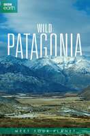 Poster of Patagonia: Earth's Secret Paradise