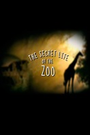 Poster of The Secret Life of the Zoo