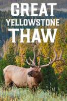 Poster of Great Yellowstone Thaw