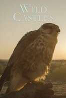 Poster of Wild Castles
