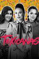 Poster of Texicanas