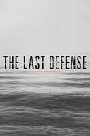 Poster of The Last Defense