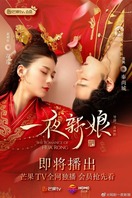 Poster of The Romance of Hua Rong