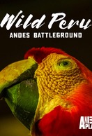 Poster of Wild Peru: Andes Battleground