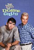 Poster of The Many Loves of Dobie Gillis