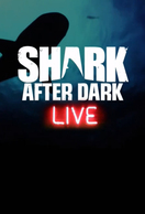 Poster of Shark After Dark