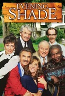 Poster of Evening Shade