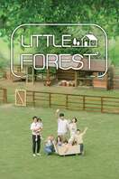 Poster of Little Forest