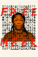 Poster of Free Meek