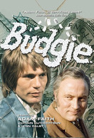 Poster of Budgie