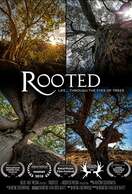 Poster of Rooted