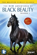Poster of The New Adventures of Black Beauty