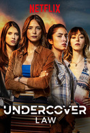 Poster of Undercover Law