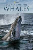 Poster of Secrets of the Whales