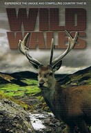Poster of Wild Wales