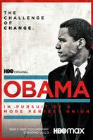 Poster of Obama: In Pursuit of a More Perfect Union
