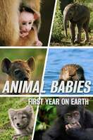 Poster of Animal Babies: First Year On Earth