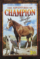 Poster of The Adventures of Champion