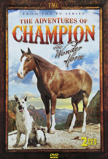 Poster of The Adventures of Champion