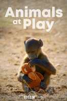 Poster of Animals at Play