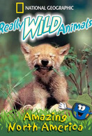 Poster of Really Wild Animals