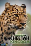 Poster of Cheetah Kingdom