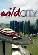 Poster of Singapore: Wild City