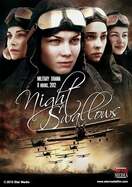 Poster of Night Swallows