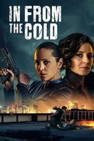 Poster of In From the Cold