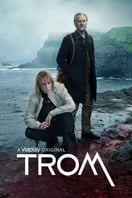 Poster of Trom