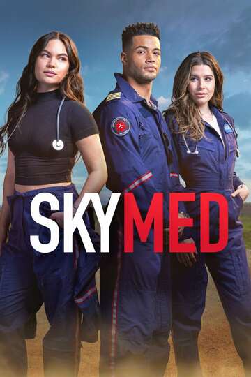 Poster of SkyMed