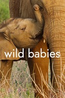 Poster of Wild Babies