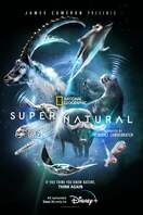 Poster of Super/Natural