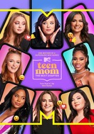 Poster of Teen Mom: The Next Chapter