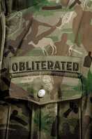 Poster of Obliterated