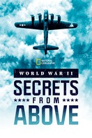 Poster of World War II: Secrets from Above