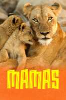 Poster of Mamas