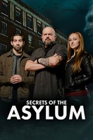 Poster of Secrets of the Asylum