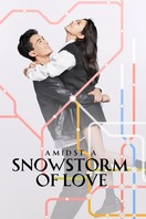 Poster of Amidst a Snowstorm of Love